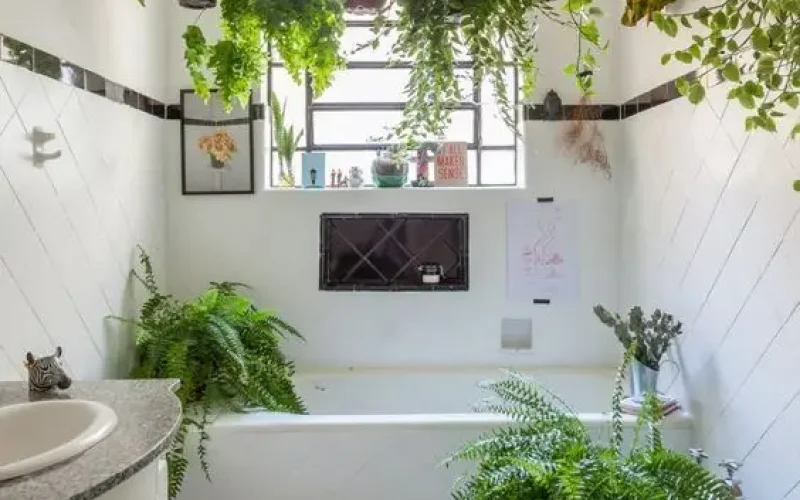 Plantas para banheiro: 7 opções fáceis para ambientes úmidos e com pouca luz
